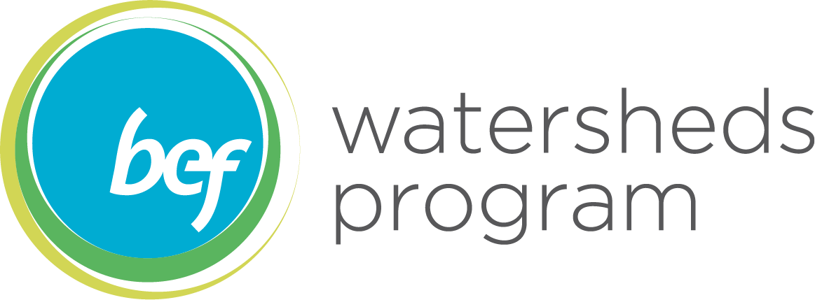 BEF Watersheds Program logo